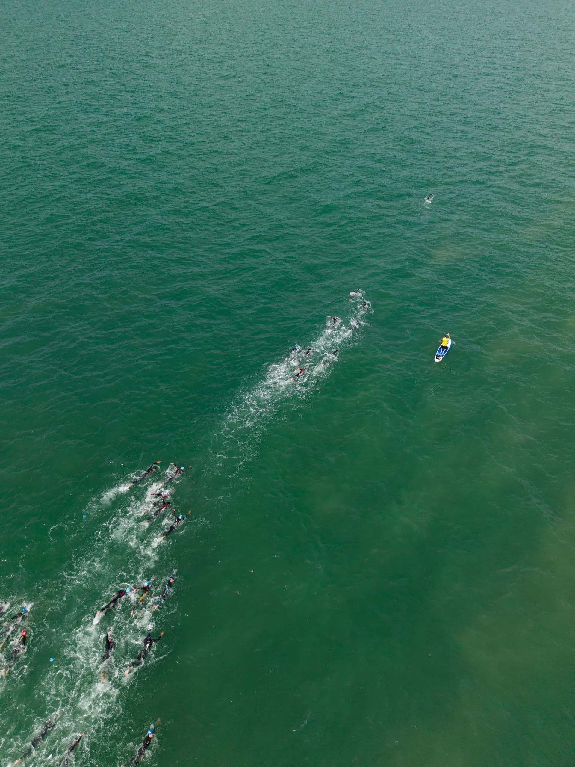 Triathlon — sports photography by Raphaël Bluteau (41/45)